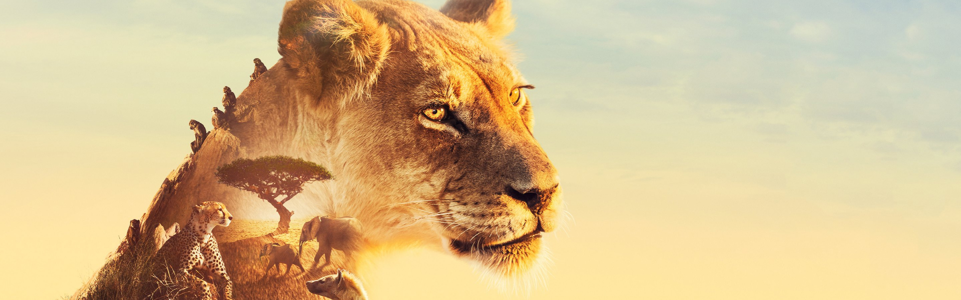 De leukste documentaires bij NLZIET