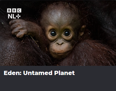 Eden: Untamed Planet app NLZIET