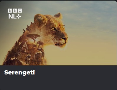 Serengeti app NLZIET