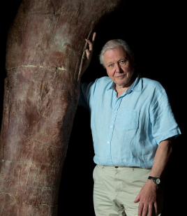 David Attenborough NLZIET