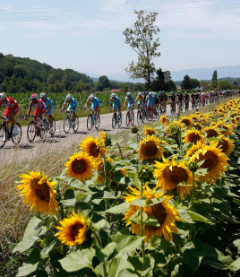 De Avondetappe gemist NLZIET