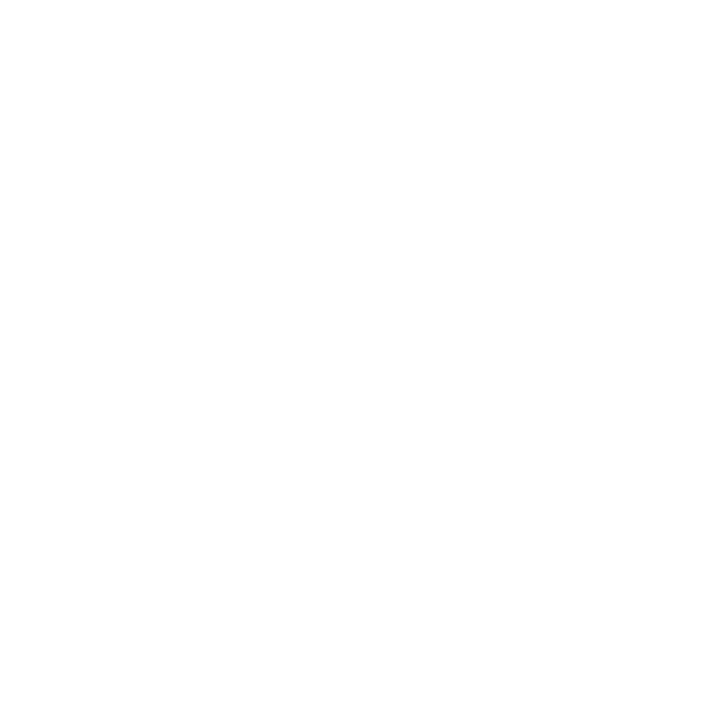 Website of the Year nomination badge