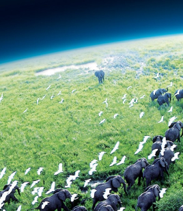 Planet Earth gemist NLZIET